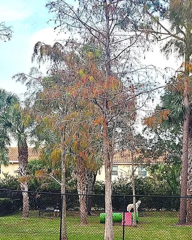 $2,300 | 4167 Haverhill Road, Unit 1111, West Palm Beach, FL 33417