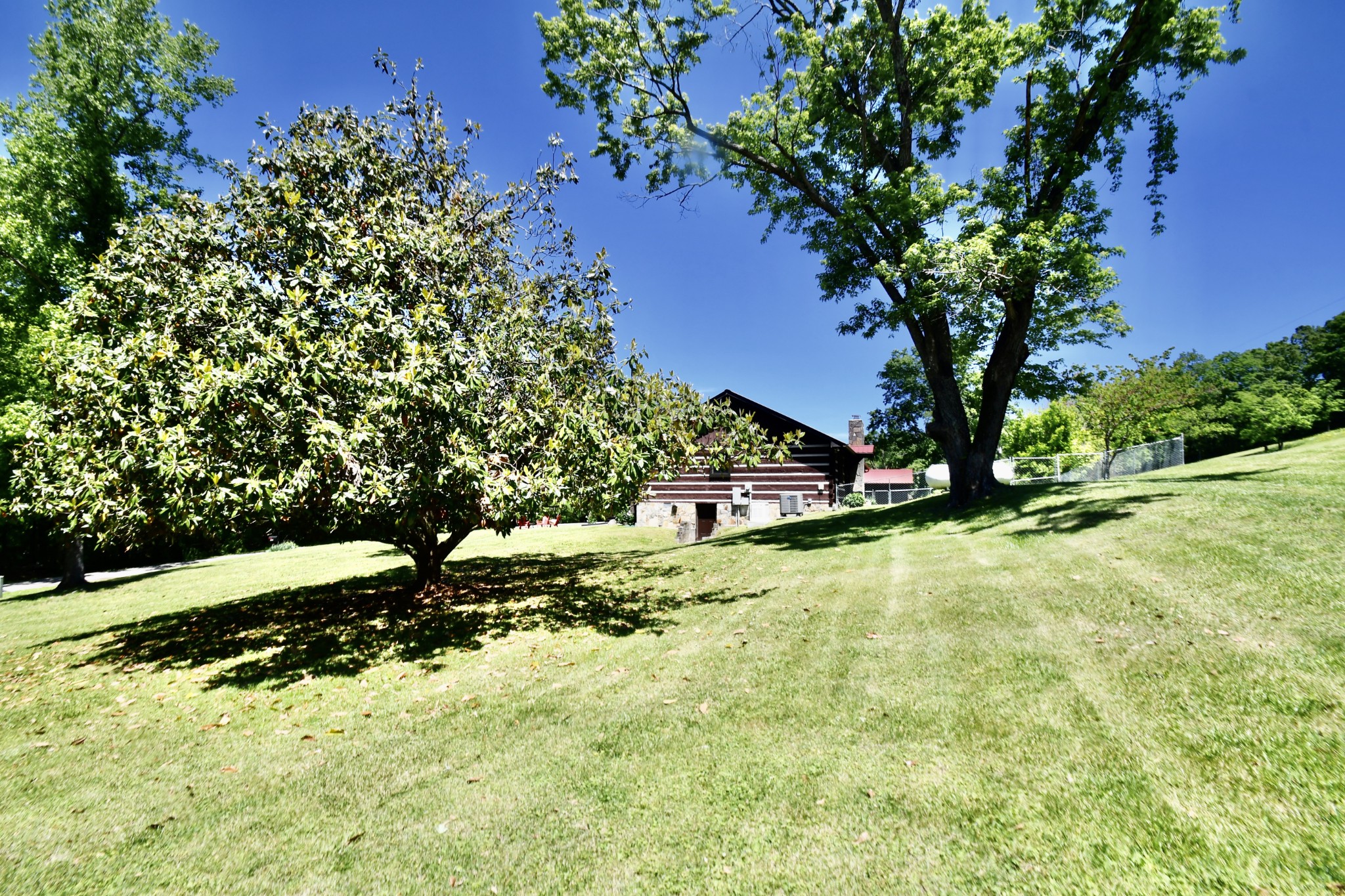 1342 Aetna Church Road Centerville, TN 37033 - Photo 45 of 59 a view of backyard with green space