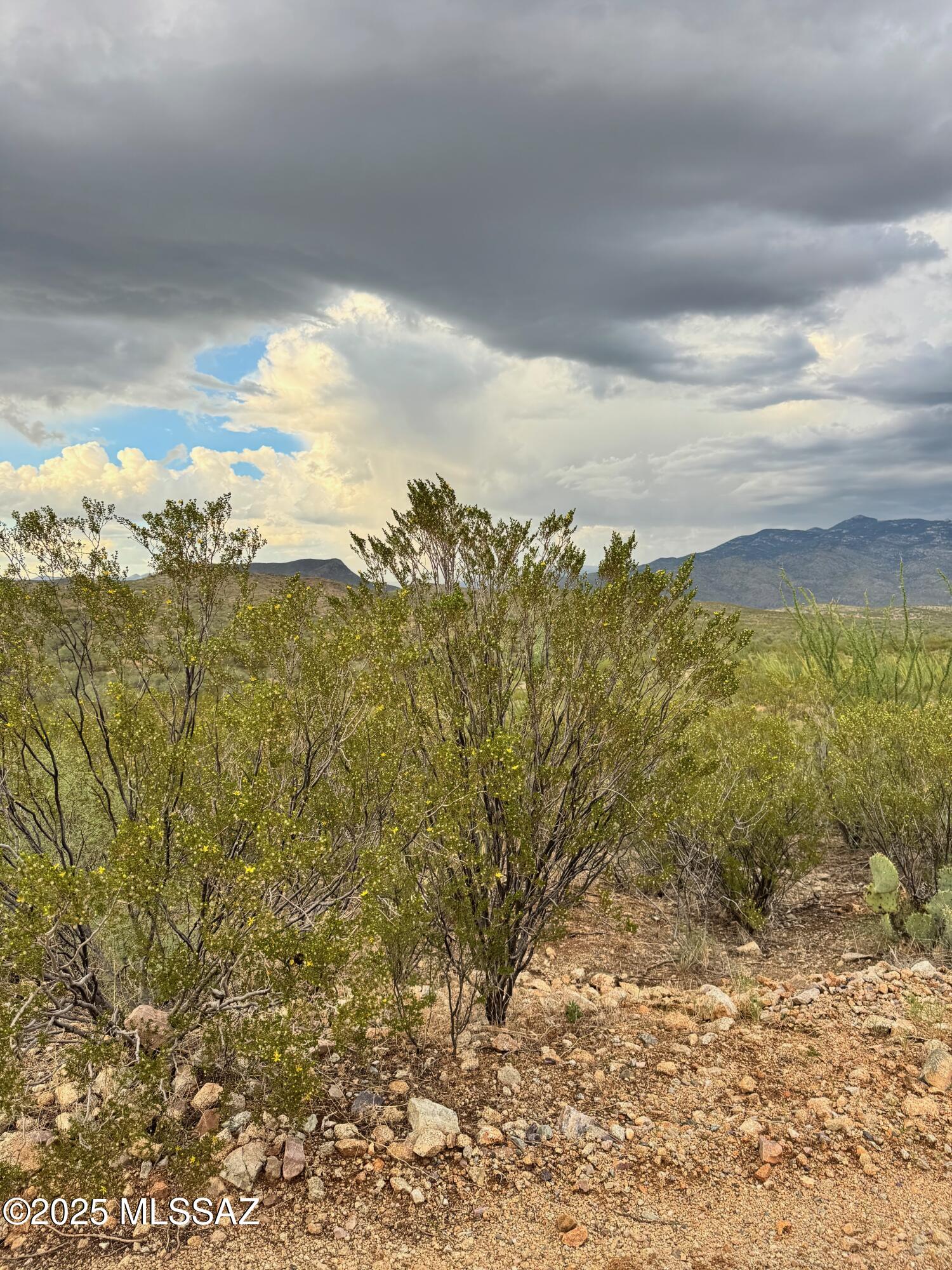 0 Justa Road Vail, AZ 85641 - Photo 25 of 44