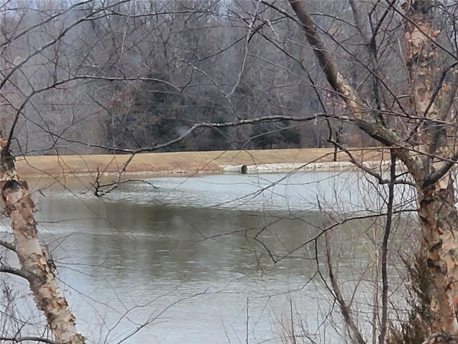 5189 Live Oak Drive Smithton, IL 62285 - Photo 30 of 66