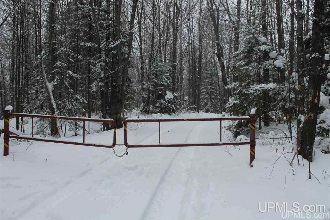 Tbd Off Fr 5252 - (the Interior Road Watersmeet, MI 49969 - Photo 27 of 27 Gallery Image 27