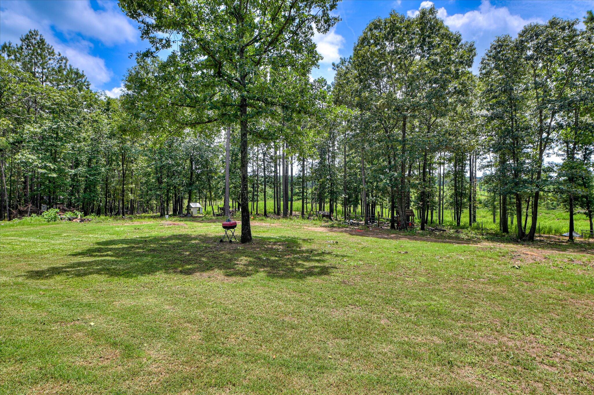 196 Brodie Hall Road Wagener, SC 29164 - Photo 42 of 42 50-104