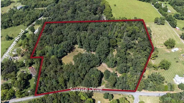 an outdoor space with lots of trees and flowers