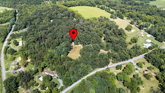 a view of a yard with a tree