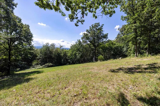 a view of a trees with a yard