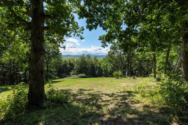 a view of a lake in middle of forest