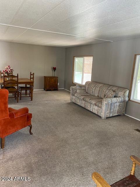 2605 South Tomahawk Road, Unit 33 Apache Junction, AZ 85119 - Photo 4 of 31 2605 S Tomahawk #33 Liv Rm