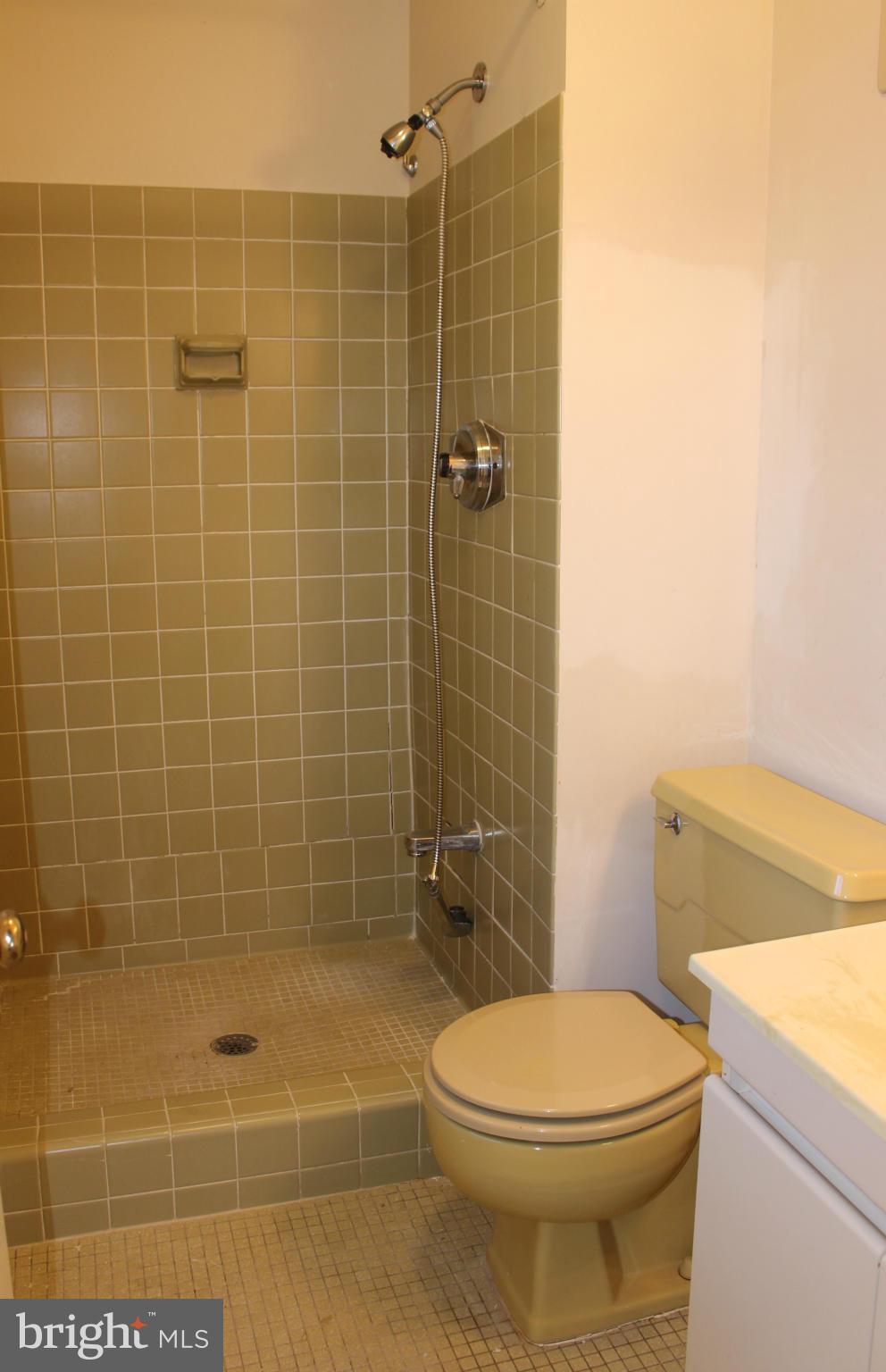 203 Oakton Road Gaithersburg, MD 20877 - Photo 9 of 26 Master Bath