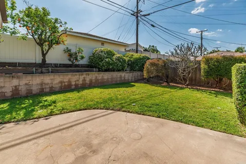 a view of a backyard with potted plants