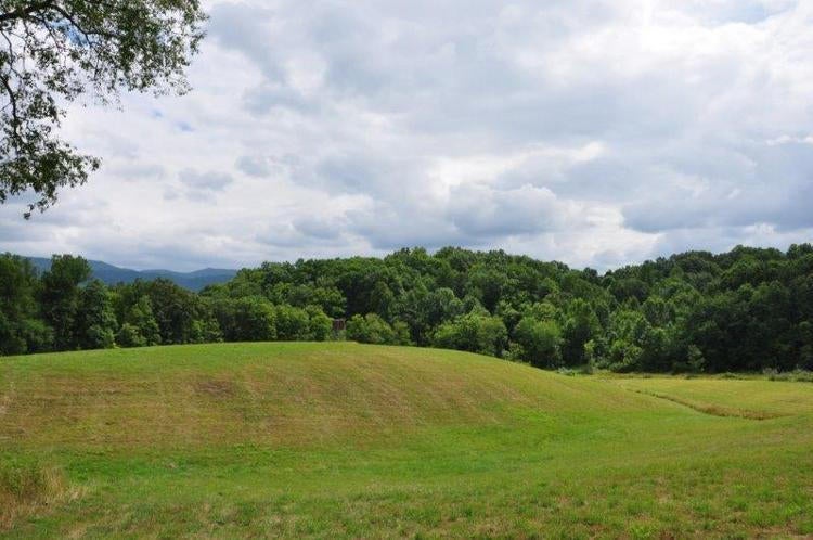 44 Duncan Branch Road Meadow Bridge, WV 25976 - Photo 17 of 35 Gallery Image 17
