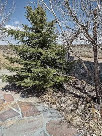 $210,000 | 16840 Westcliff Drive, San Luis, CO 81152