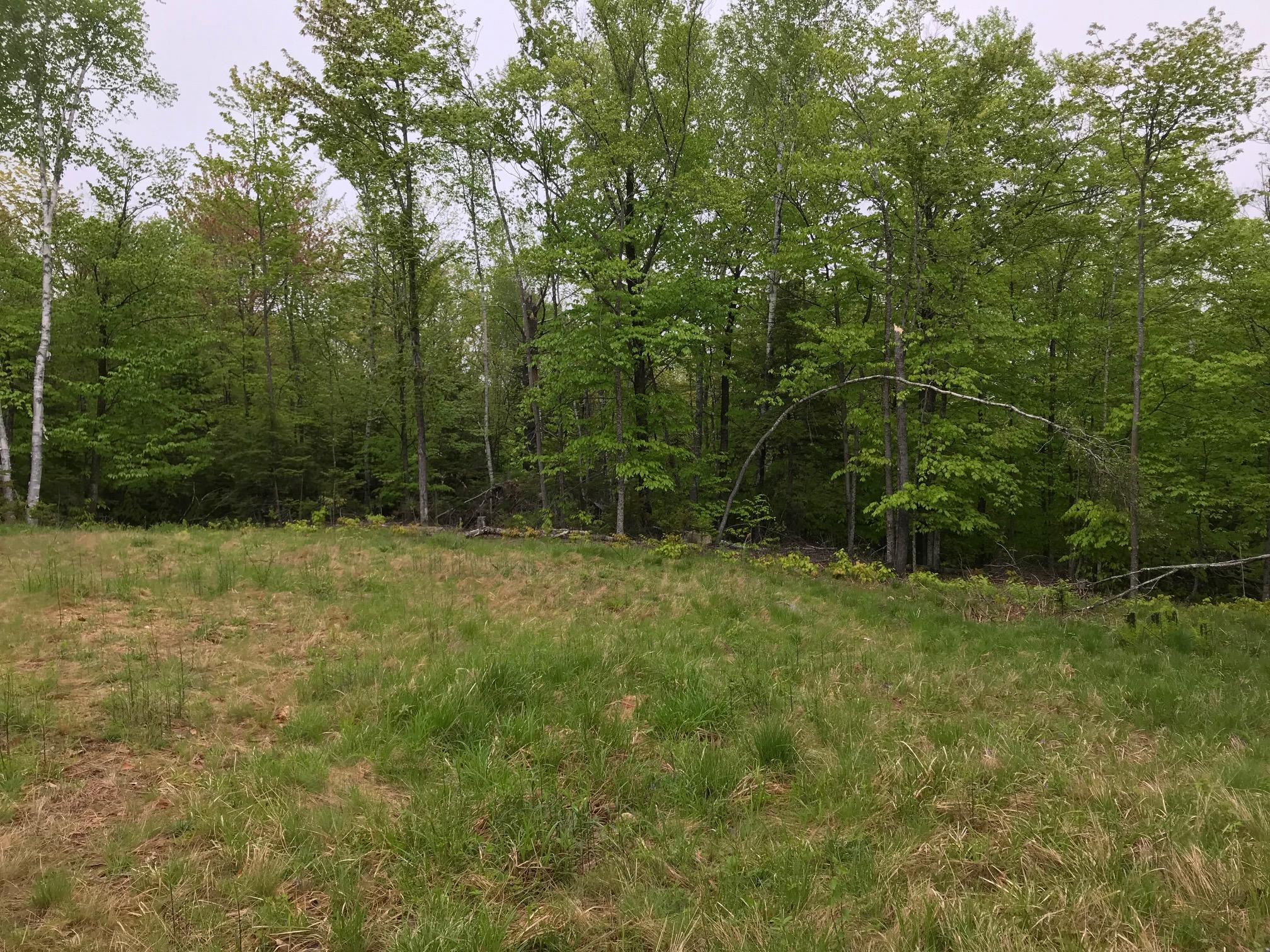 20 Post Road Dexter, ME 04930 - Photo 2 of 14 20190603172406841540000000-o