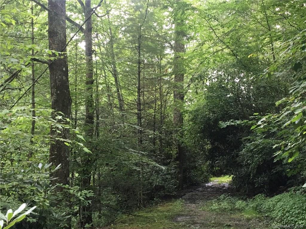 408 Lance Road Cashiers, NC 28717 - Photo 24 of 24 Gallery Image 24