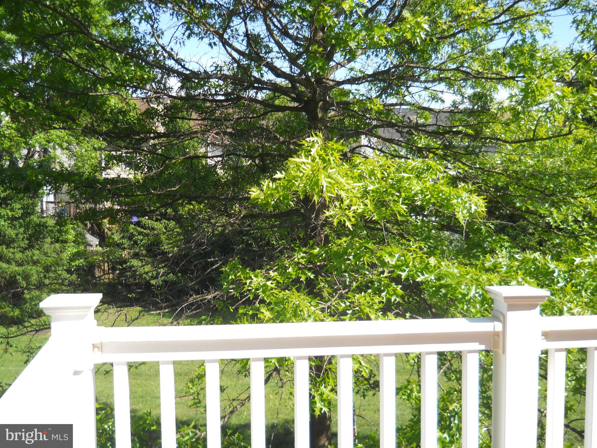 2807 Cornet Court Silver Spring, MD 20904 - Photo 27 of 44