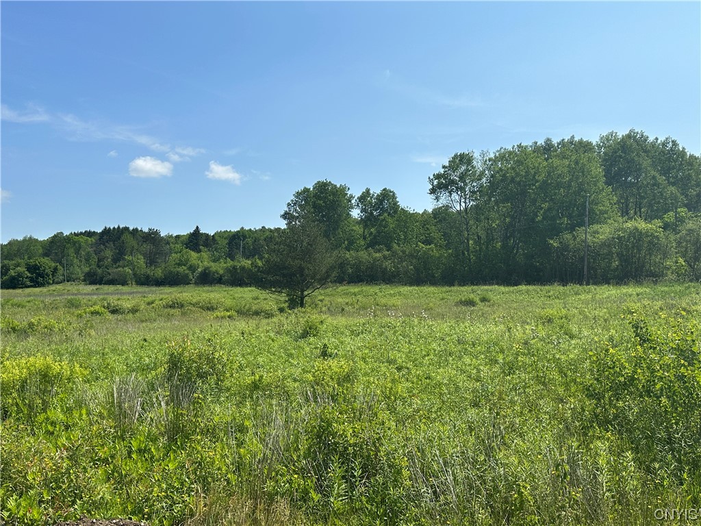 0 Redman Road Fillmore, NY 14735 - Photo 2 of 7