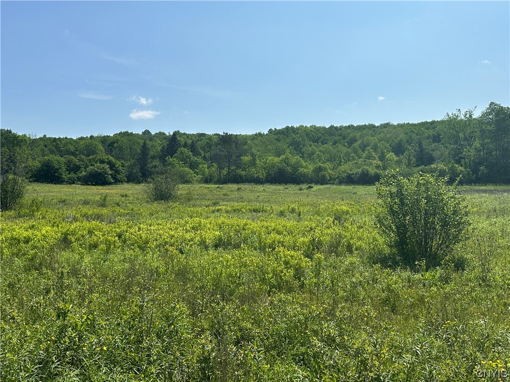 0 Redman Road Fillmore, NY 14735 - Photo 3 of 7