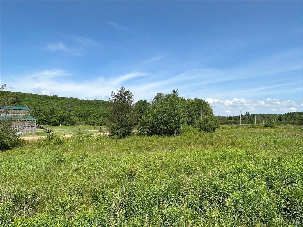 0 Redman Road Fillmore, NY 14735 - Photo 4 of 7