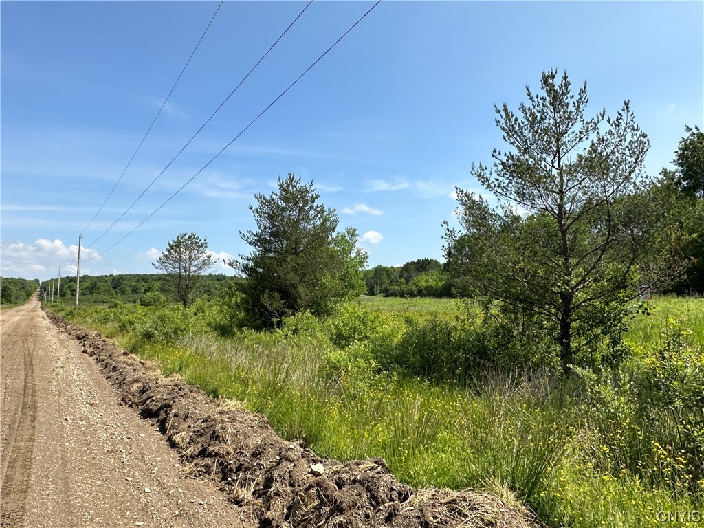 0 Redman Road Fillmore, NY 14735 - Photo 5 of 7