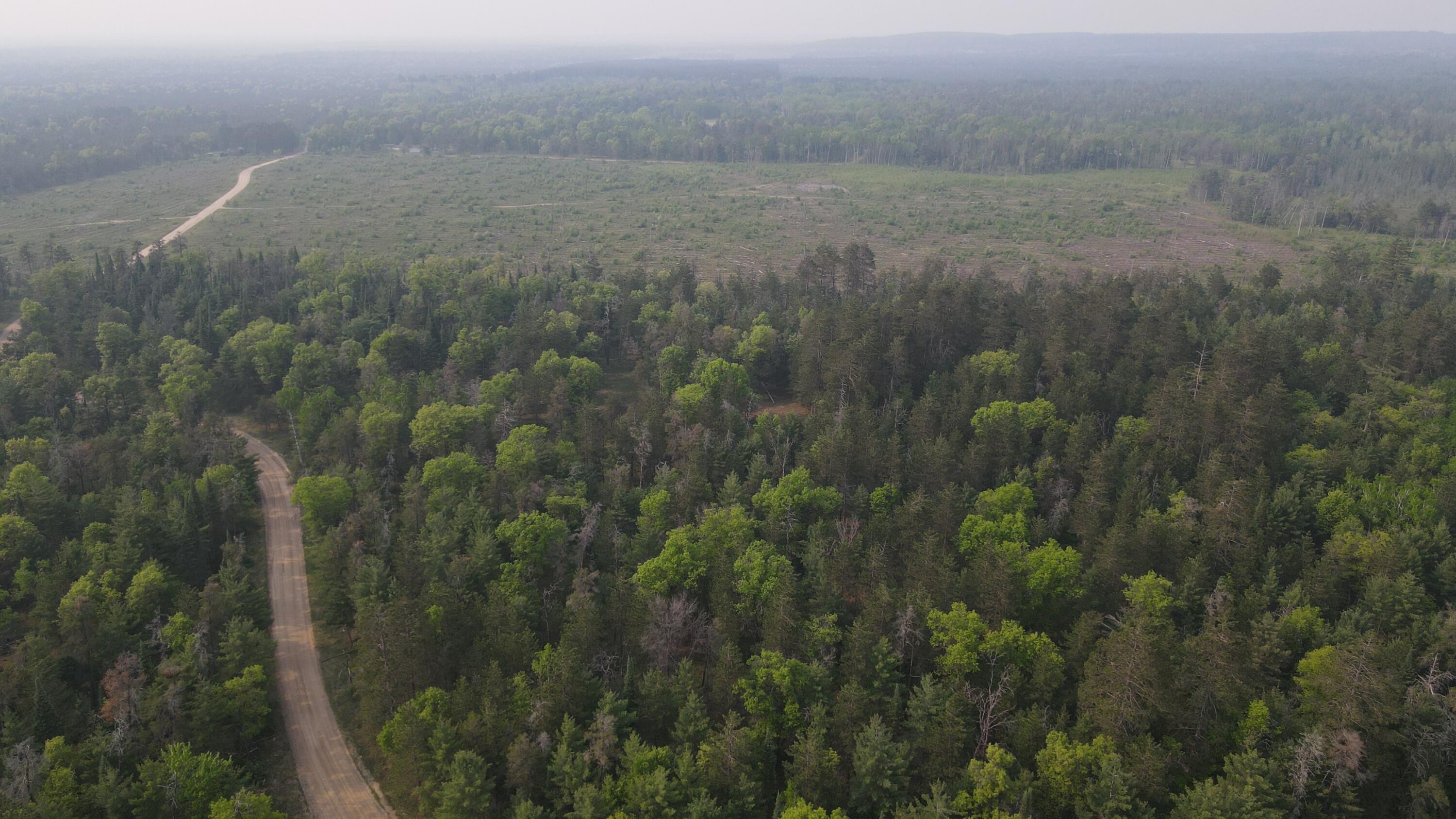 Parcel B Cherry Creek Road Grayling, MI 49738 - Photo 6 of 25 DJI_0935