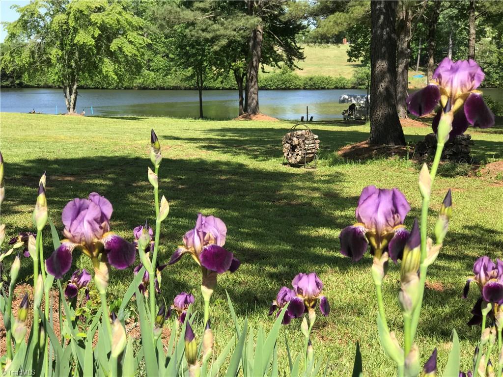 310 Cornatzer Road Mocksville, NC 27028 - Photo 43 of 46 Irises show off in the spring.