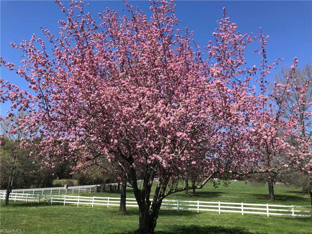 310 Cornatzer Road Mocksville, NC 27028 - Photo 44 of 46 This stunner stops traffic, literally.