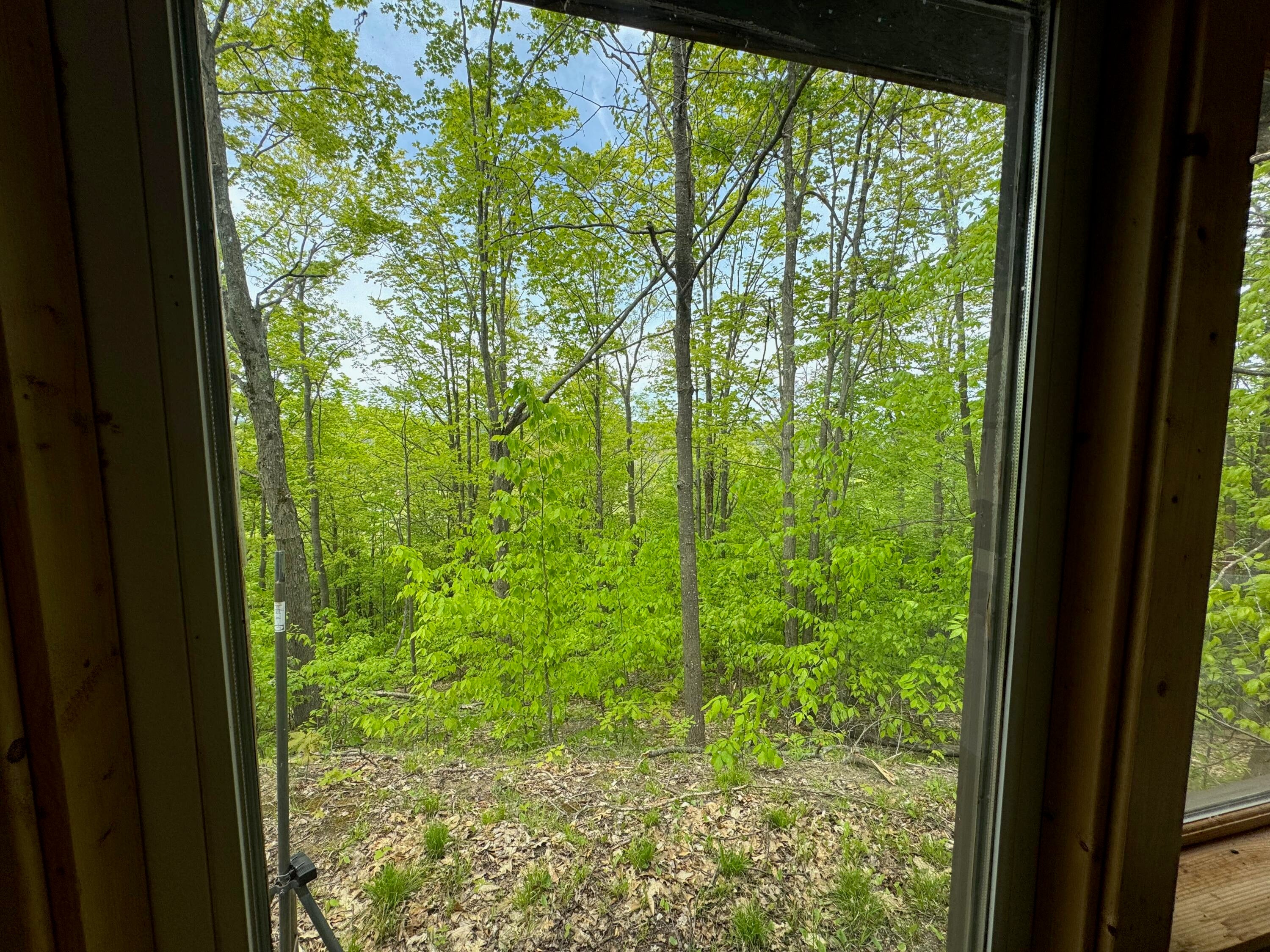 568 East Alexander Road Vanderbilt, MI 49795 - Photo 27 of 53 Gallery Image 27