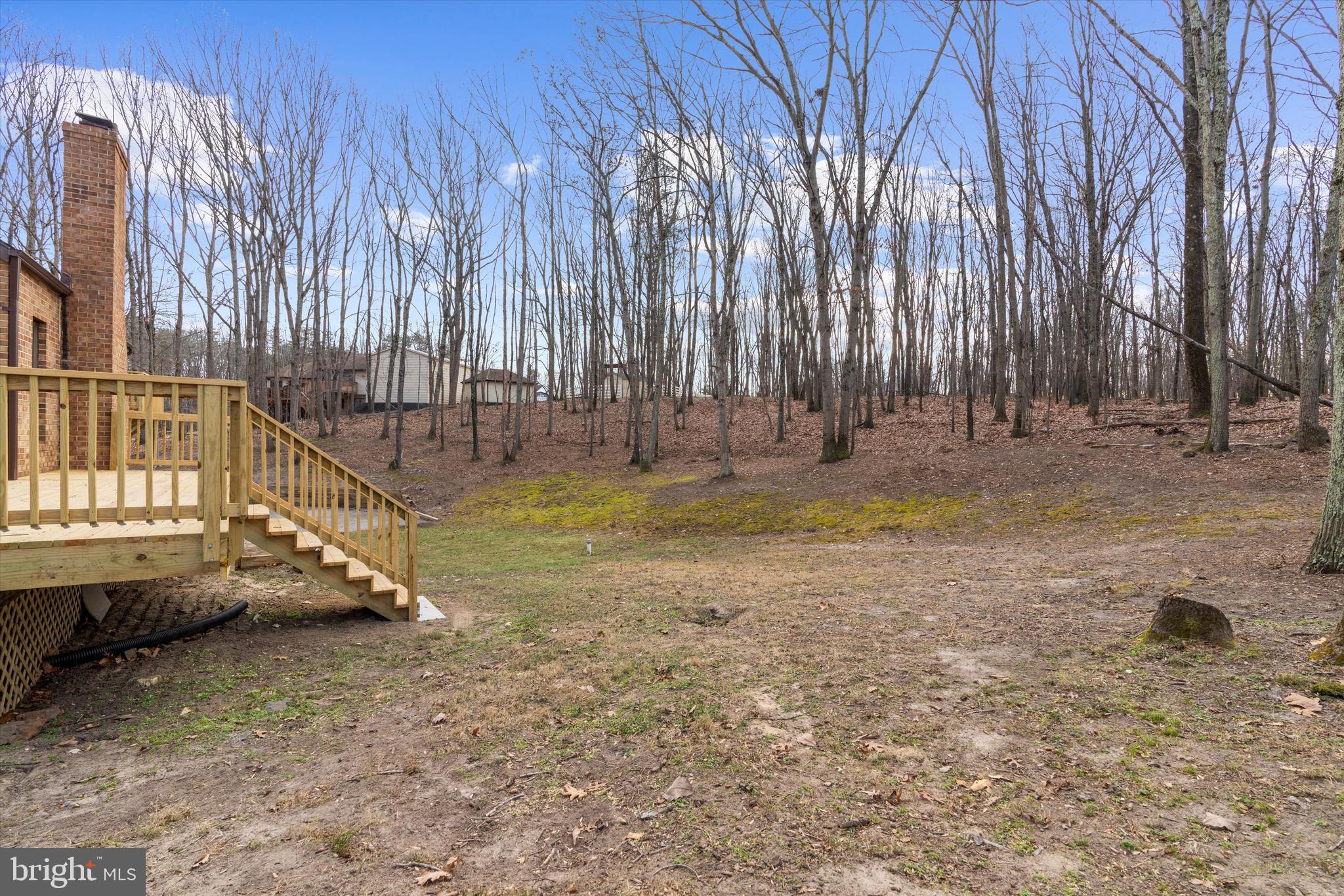 1439 Dicus Mill Road Severn, MD 21144 - Photo 72 of 91 Backyard