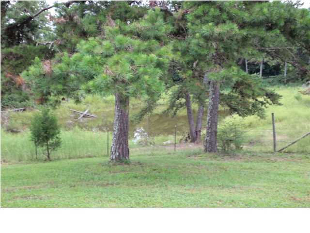 7111 Grasshopper Road Birchwood, TN 37308 - Photo 10 of 10 Additional Photo