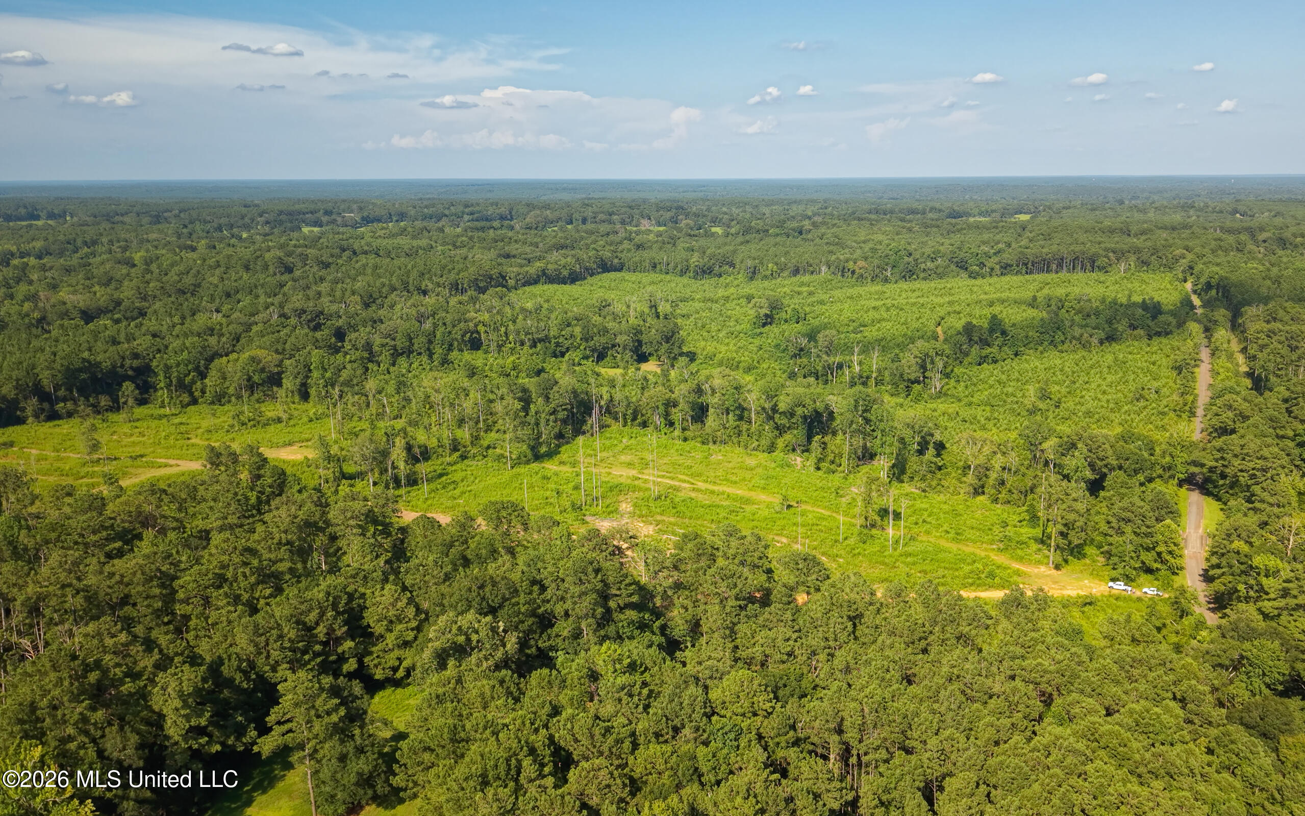 Lower Liberty Gloster Road Gloster, MS 39638 - Photo 13 of 26 103+_- Acres wide 9
