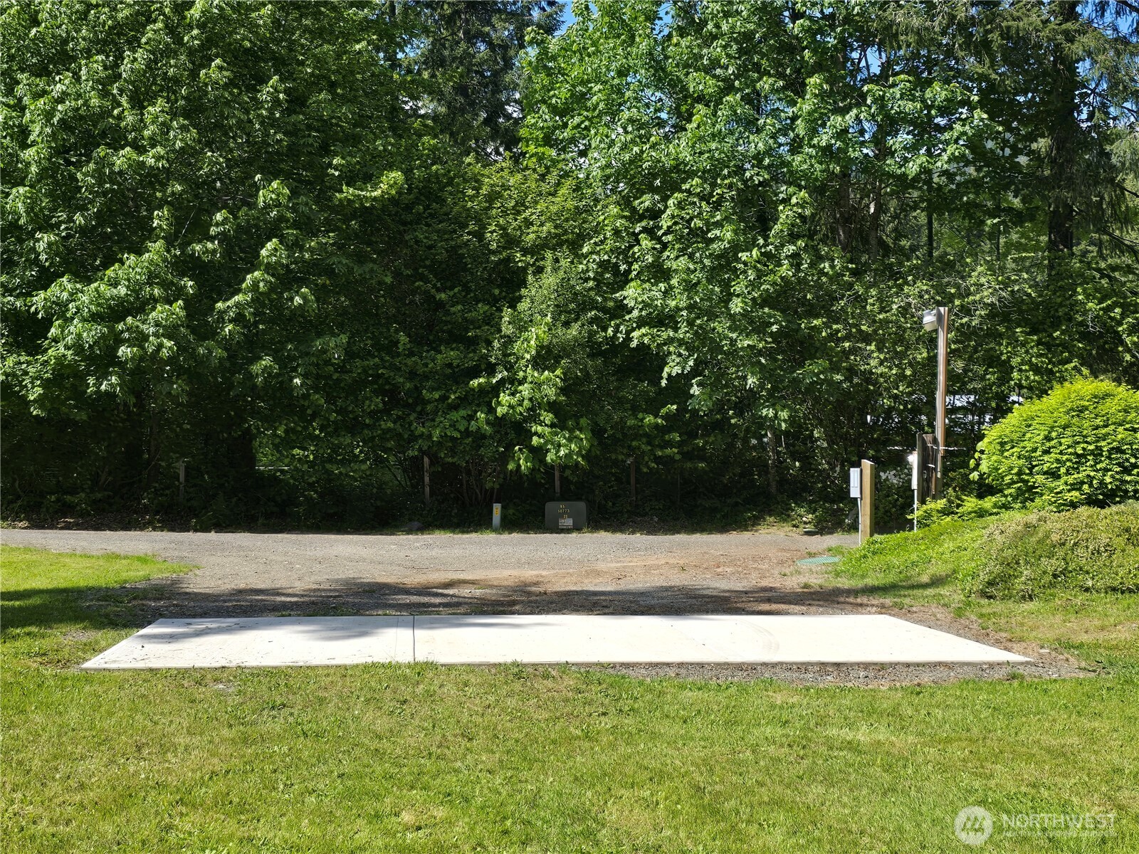 147-21 Morris Road, Unit 21 Randle, WA 98377 - Photo 3 of 31 a view of a backyard with green space