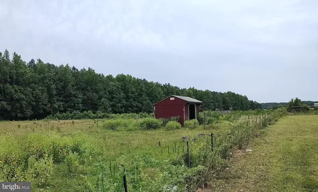 a view of a lush green outdoor next to a lake