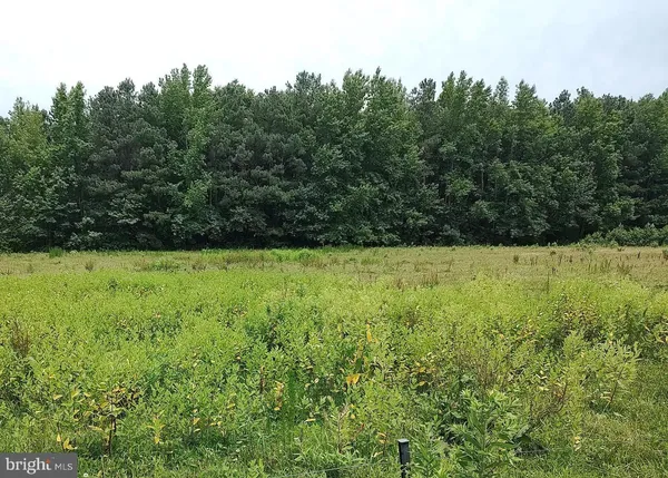 a view of green field with trees in the background