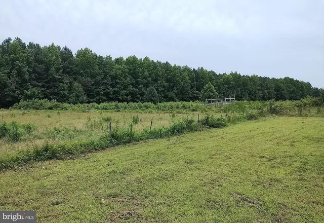 a view of a field with trees in background