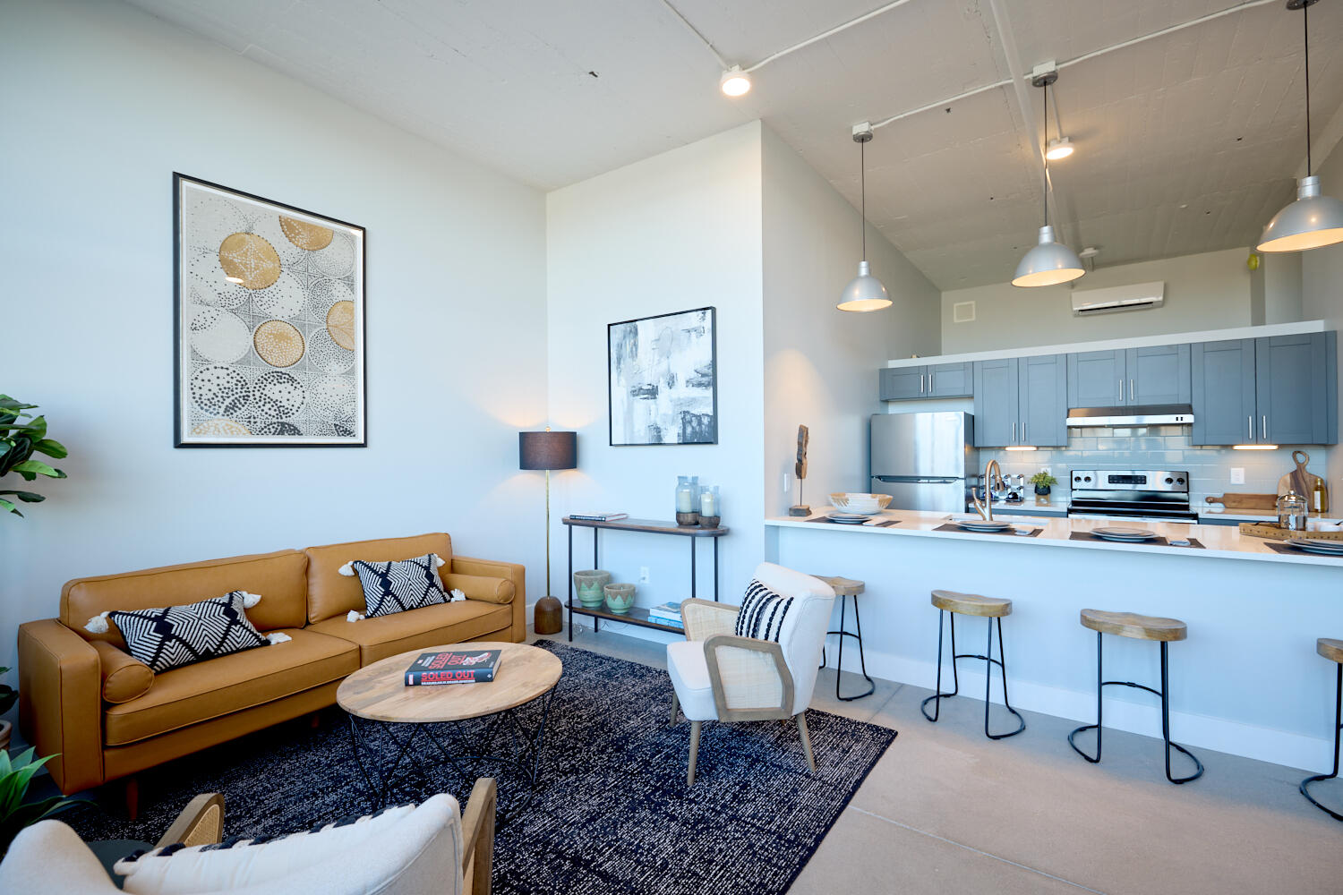 Levee Lofts