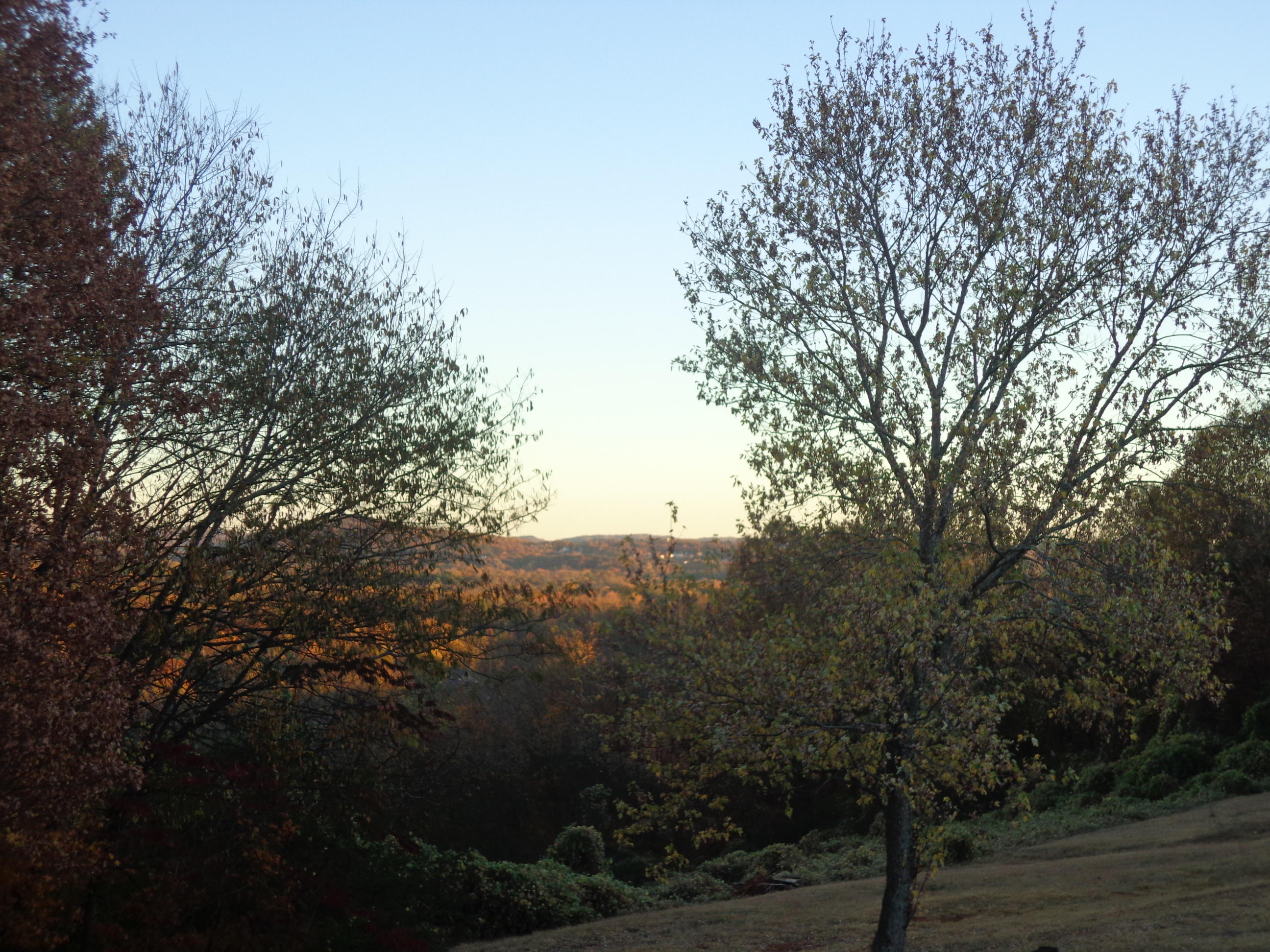 1200 Ridge Top Drive Chattanooga, TN 37421 - Photo 22 of 27 DSC01631