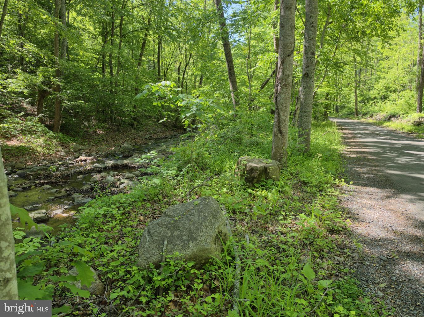 873 Entry Run Road Stanardsville, VA 22973 - Photo 14 of 27