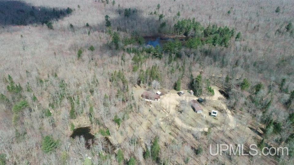 11445 Chesbrough Lake Road Newberry, MI 49868 - Photo 3 of 75