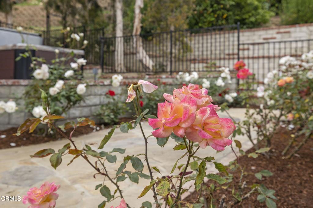 116 Via Pasito Ventura, CA 93003 - Photo 60 of 61