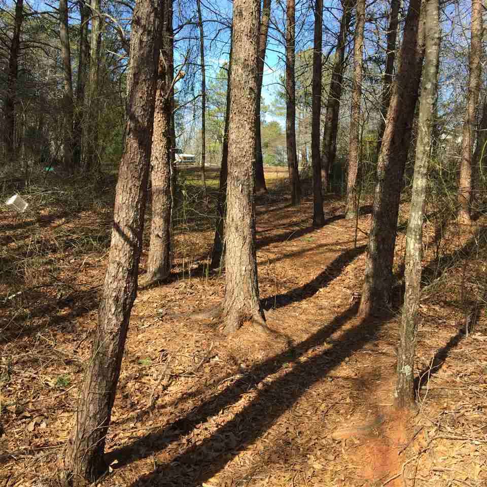 113 Lockman Street Inman, SC 29349 - Photo 2 of 2