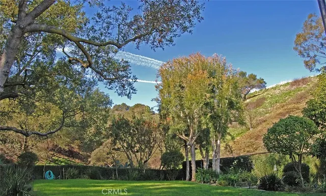 a big yard with flowing stream of water in middle