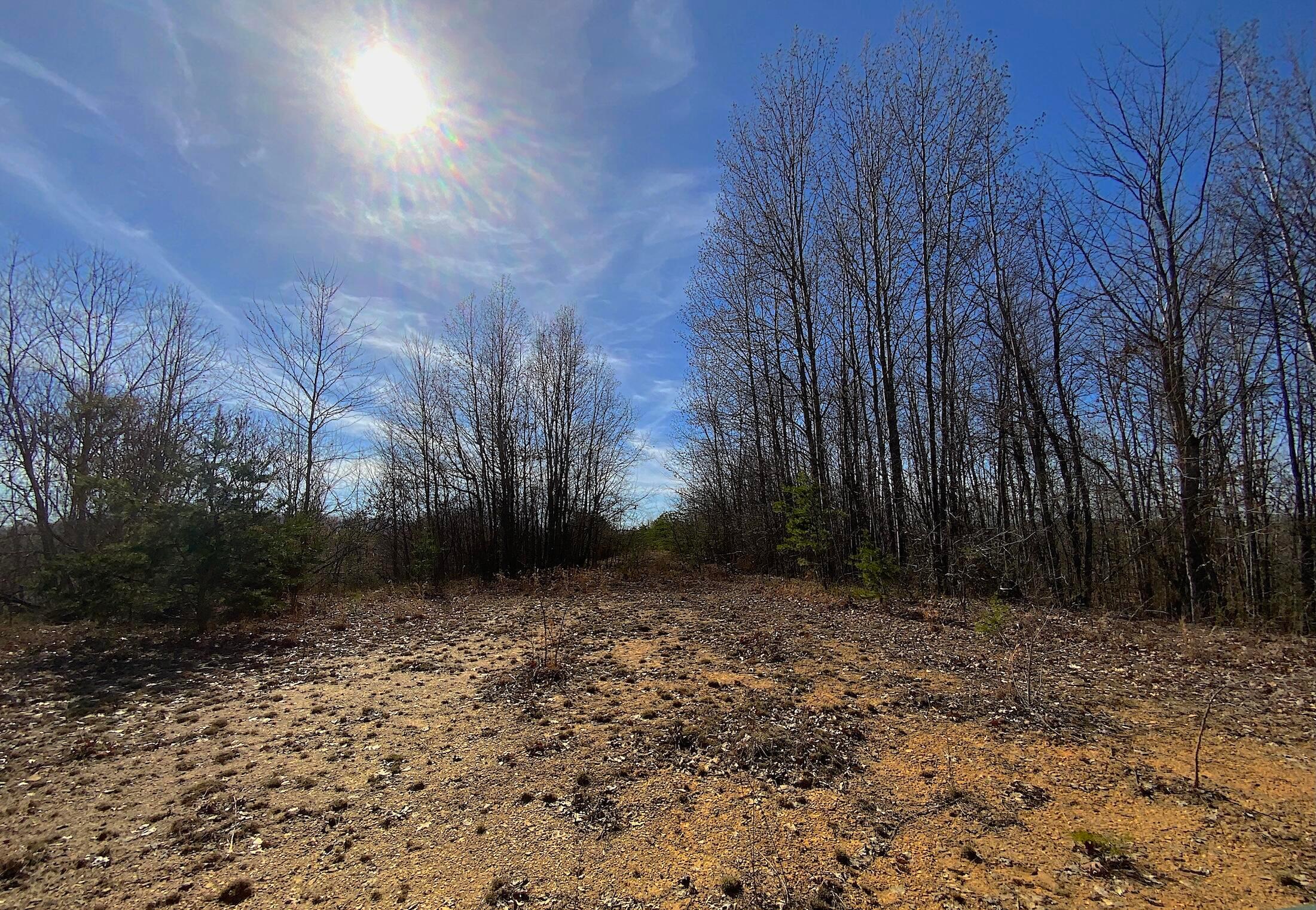 0 Kelly Road Ray, OH 45672 - Photo 17 of 46 Vinton County Kelly Rd 16