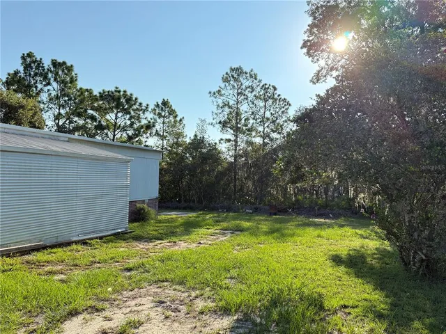 a view of a backyard with a small cabin