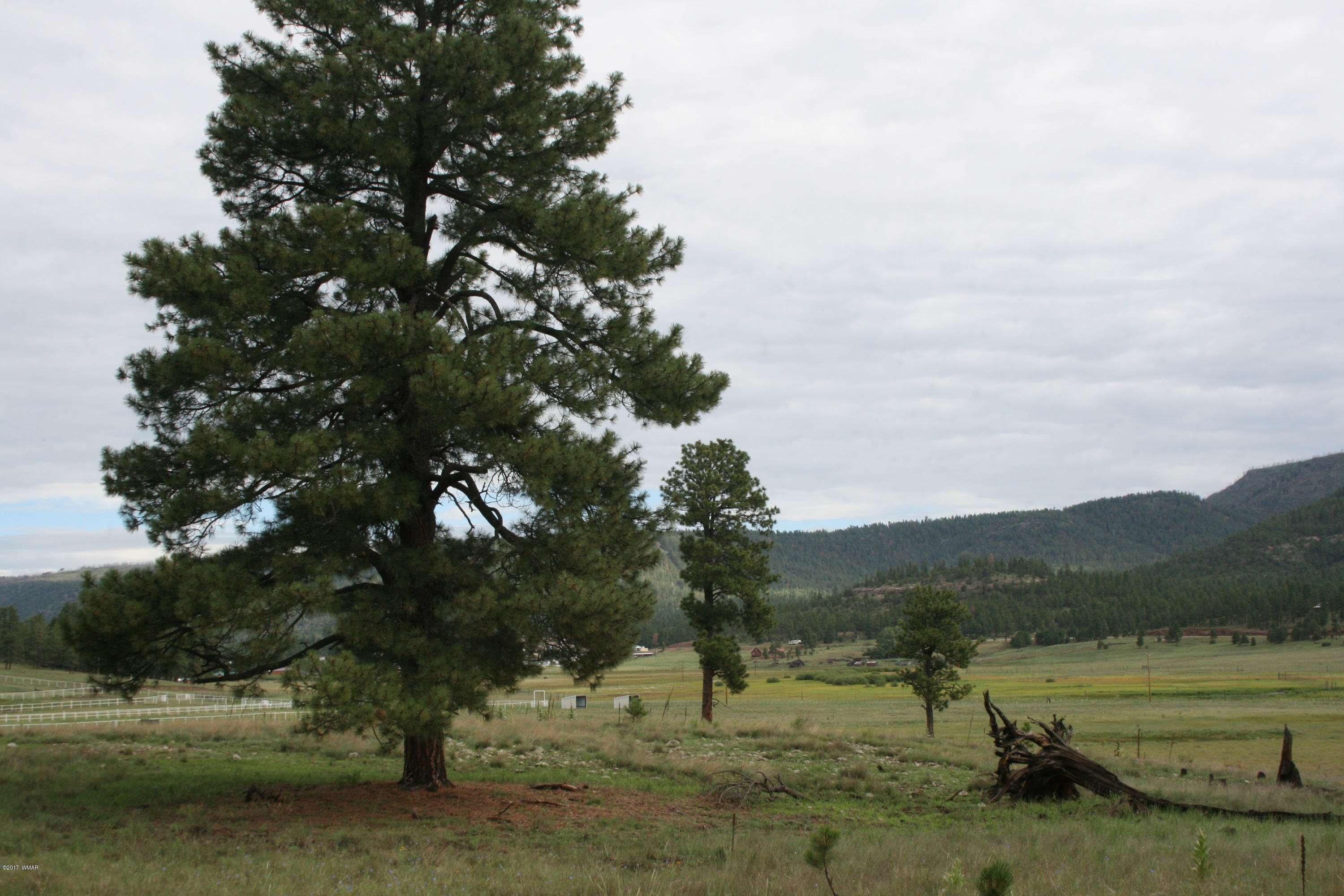 1 T Co Road Alpine, AZ 85920 - Photo 12 of 35