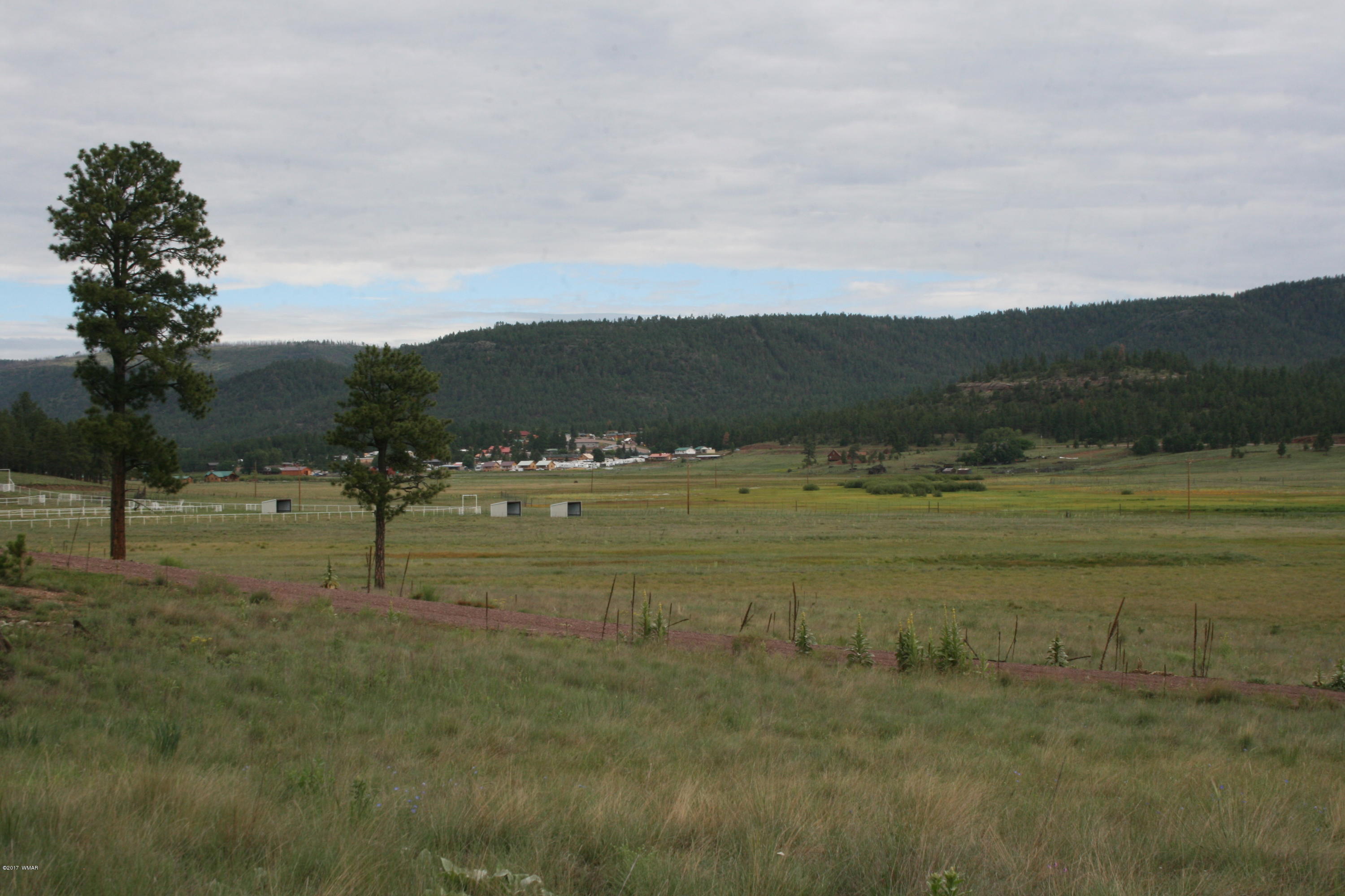 1 T Co Road Alpine, AZ 85920 - Photo 15 of 35