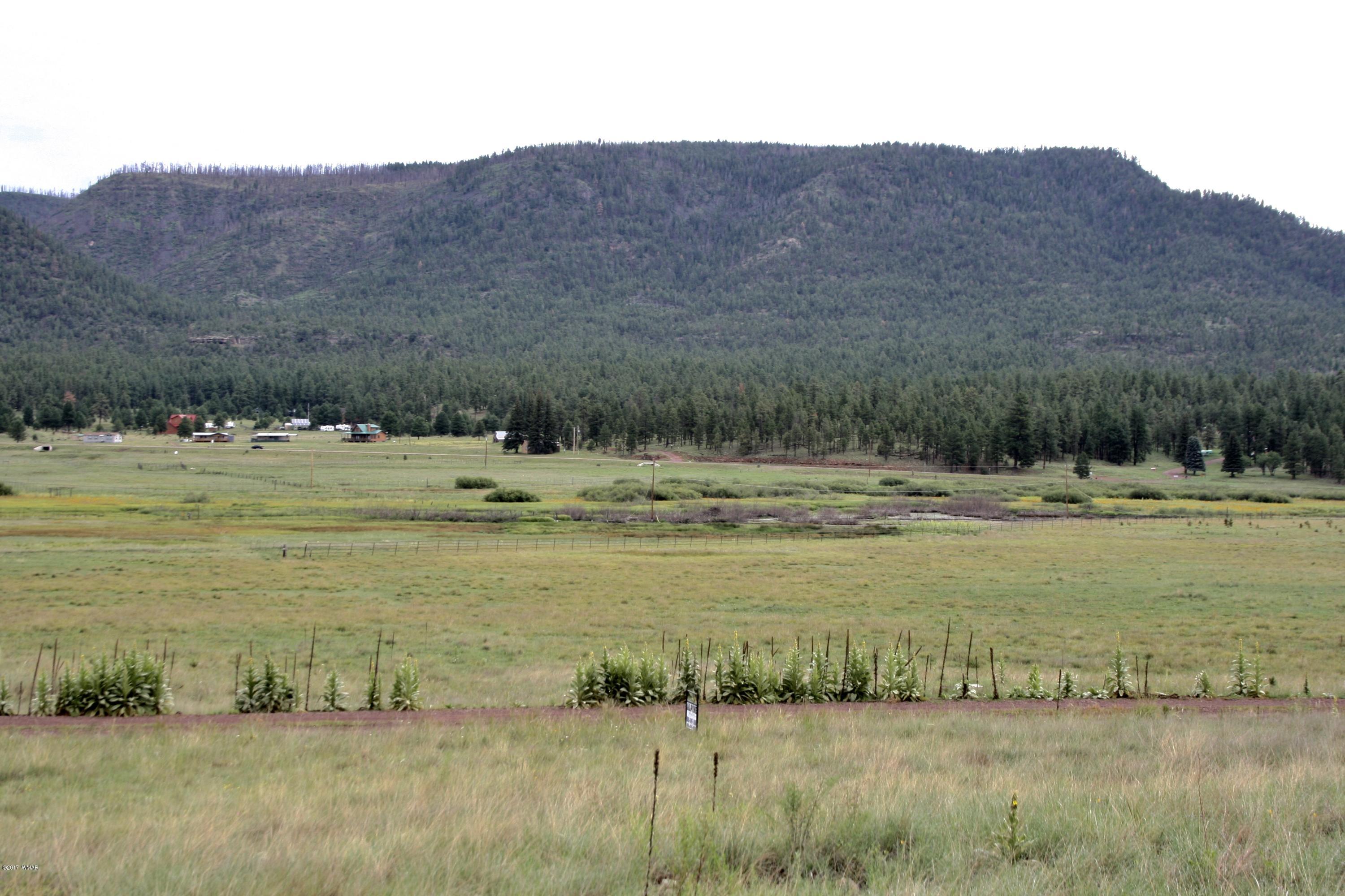 1 T Co Road Alpine, AZ 85920 - Photo 18 of 35
