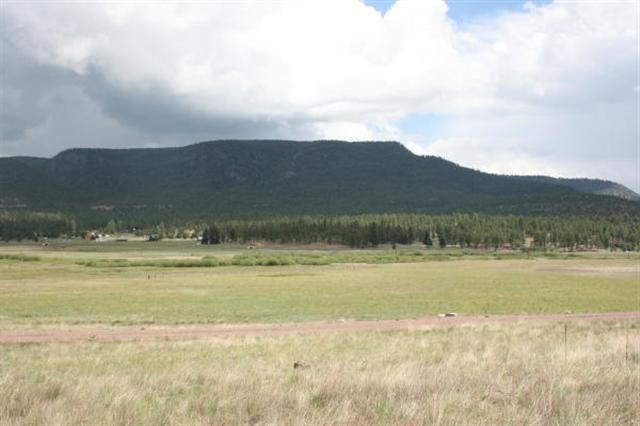 1 T Co Road Alpine, AZ 85920 - Photo 19 of 35