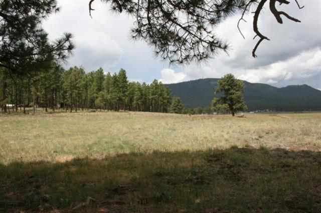 1 T Co Road Alpine, AZ 85920 - Photo 20 of 35