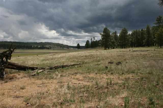 1 T Co Road Alpine, AZ 85920 - Photo 22 of 35