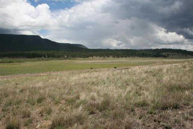 1 T Co Road Alpine, AZ 85920 - Photo 23 of 35