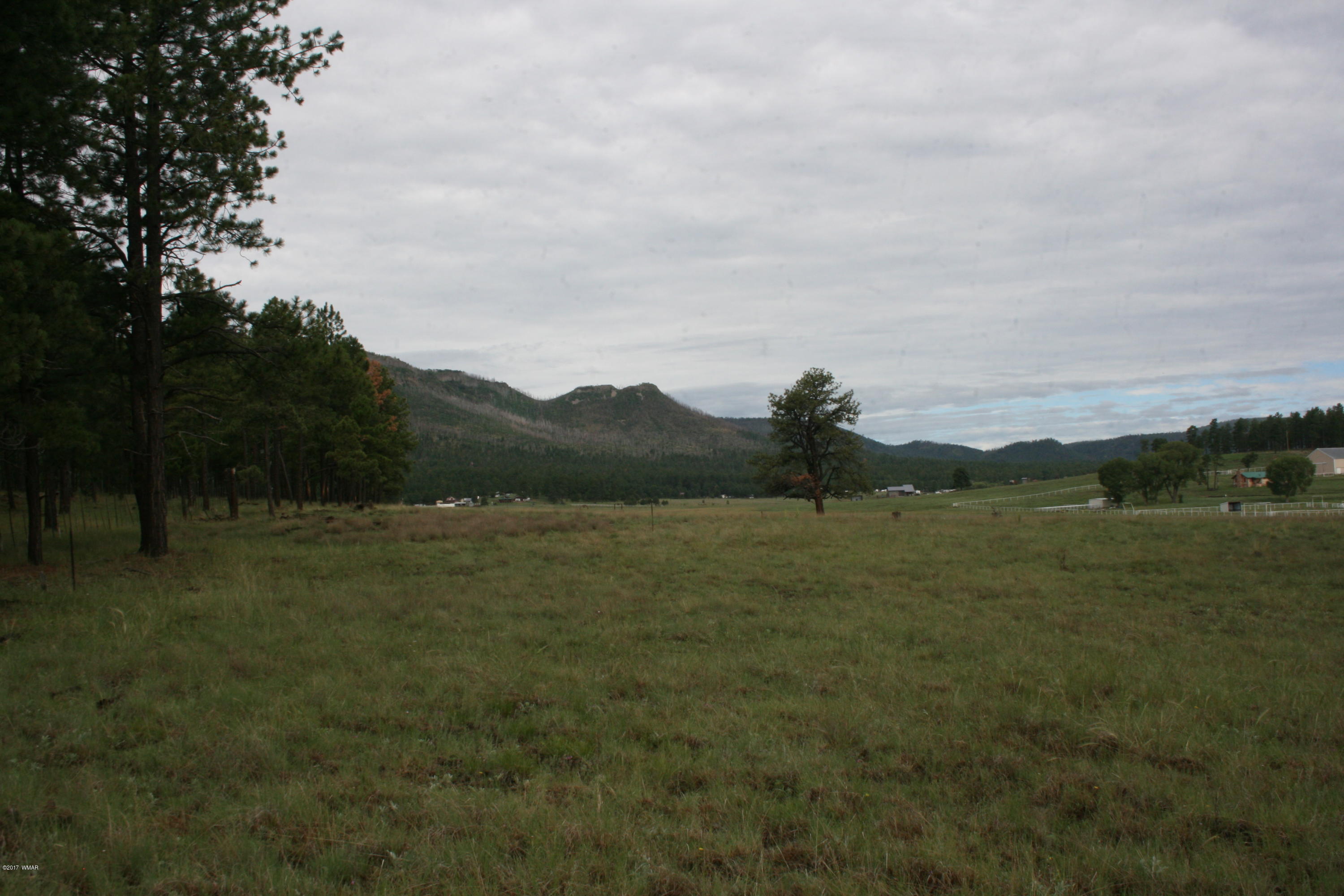 1 T Co Road Alpine, AZ 85920 - Photo 25 of 35